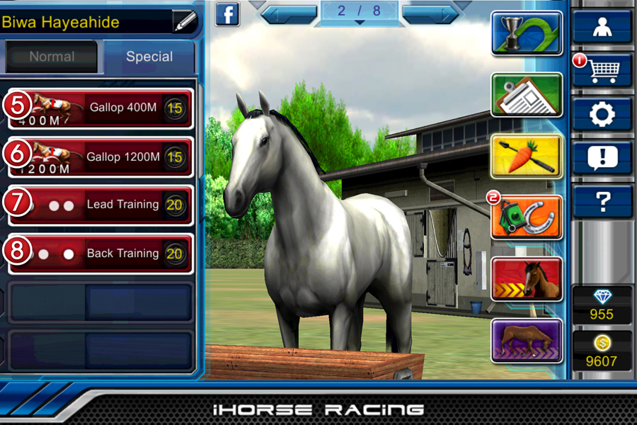 馬匹訓練項目 Training menu